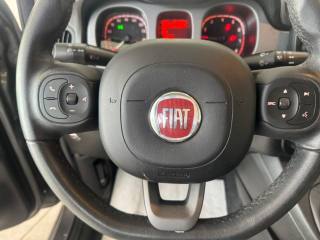 FIAT Panda Cross usata, con Park Distance Control