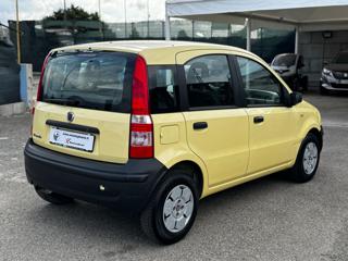 FIAT Panda usata 6