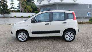 FIAT Panda usata, con Controllo trazione