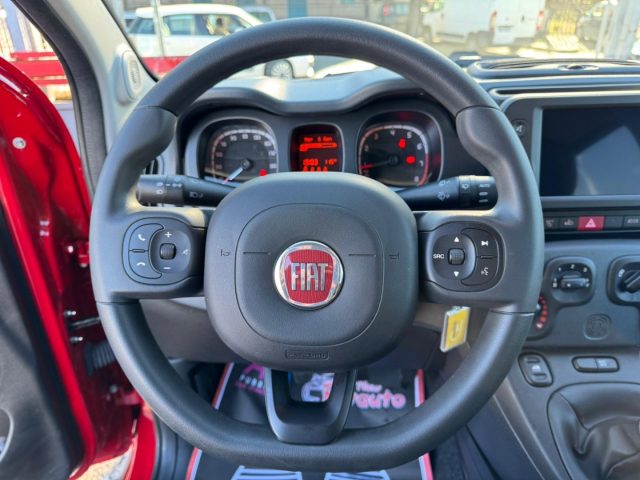 FIAT Panda Cross usata, con Controllo trazione