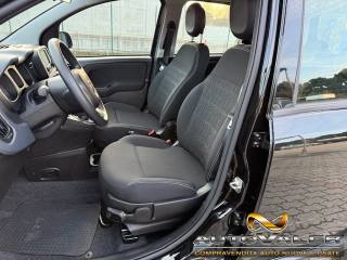 FIAT Panda usata, con Immobilizzatore elettronico