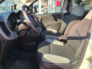 FIAT Panda usata, con Chiusura centralizzata
