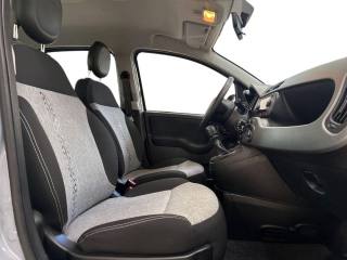 FIAT Panda usata, con Fendinebbia