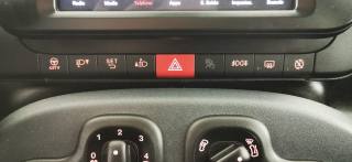 FIAT Panda Cross usata 69