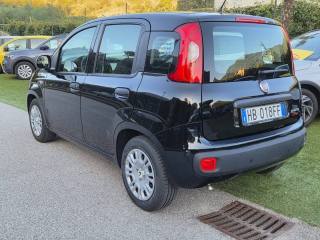 FIAT Panda usata, con Airbag Passeggero