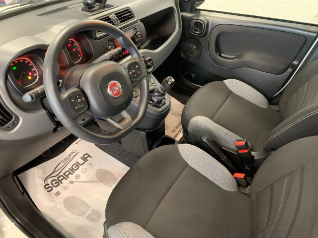 FIAT Panda usata, con Cronologia tagliandi