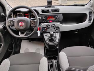 FIAT Panda usata, con Controllo trazione