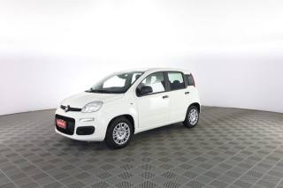 FIAT Panda usata 6