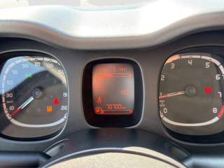 FIAT Panda usata 13