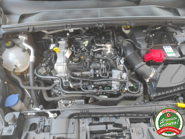 FORD Puma usata, con Bracciolo