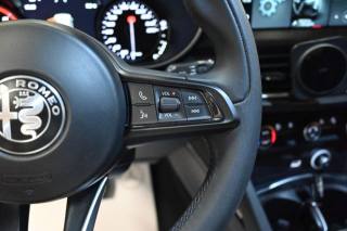 ALFA ROMEO Stelvio usata 42