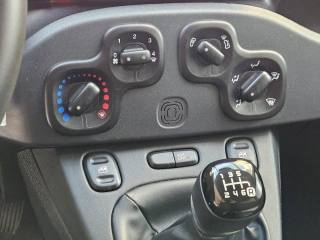 FIAT Panda usata, con Antifurto