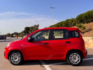 FIAT Panda usata, con Alzacristalli elettrici