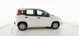 FIAT Panda usata 19