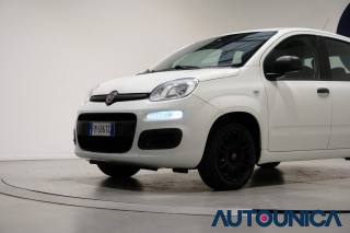 FIAT Panda usata, con Fendinebbia