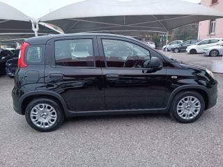 FIAT Panda usata, con Cerchi in lega