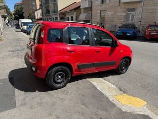 FIAT Panda usata, con Cerchi in lega