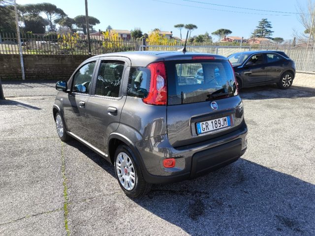 FIAT Panda usata 2