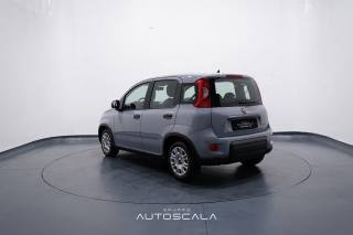 FIAT New Panda usata, con ESP