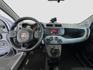 FIAT Panda usata 9