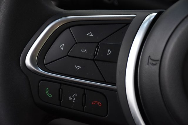 FIAT 500L usata, con Park Distance Control