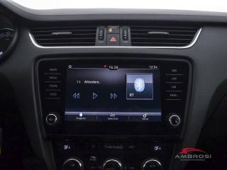 SKODA Octavia usata 14