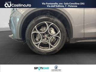 ALFA ROMEO Stelvio usata, con Park Distance Control
