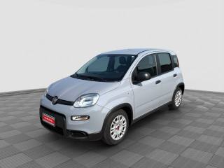 FIAT Panda Panda 1.0 firefly hybrid city life