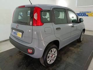 FIAT Panda usata, con Chiusura centralizzata