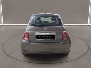 FIAT 500 usata 4