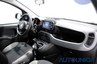 FIAT Panda usata 44