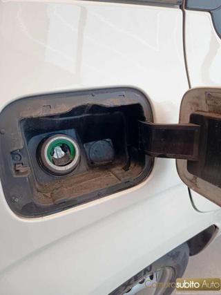 FIAT Panda usata 21