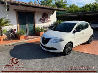 LANCIA Ypsilon 1.2 69 CV Elefantino UNIPRO! DISTRIBUZIONE OK!