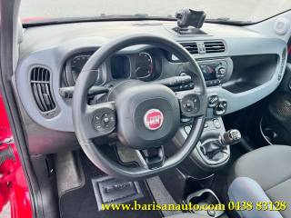 FIAT Panda usata, con Controllo trazione