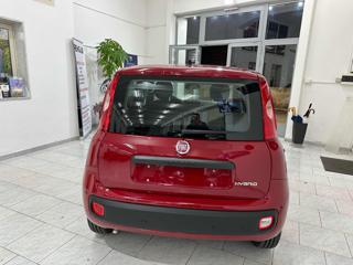 FIAT Panda usata, con Alzacristalli elettrici