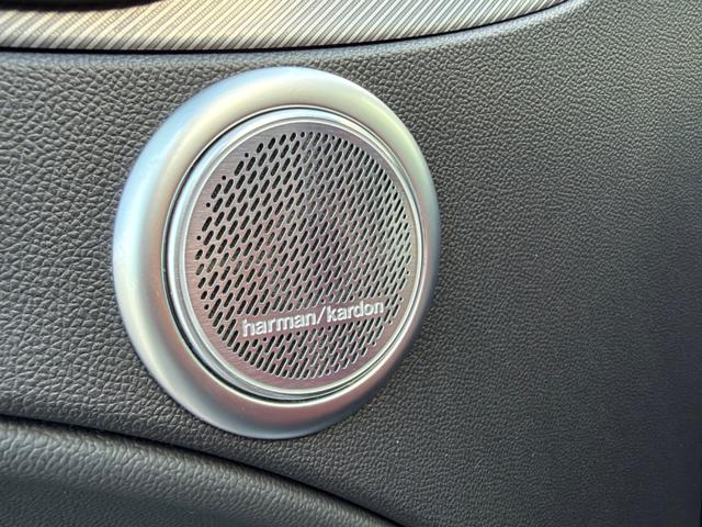 ALFA ROMEO Stelvio usata, con Vivavoce