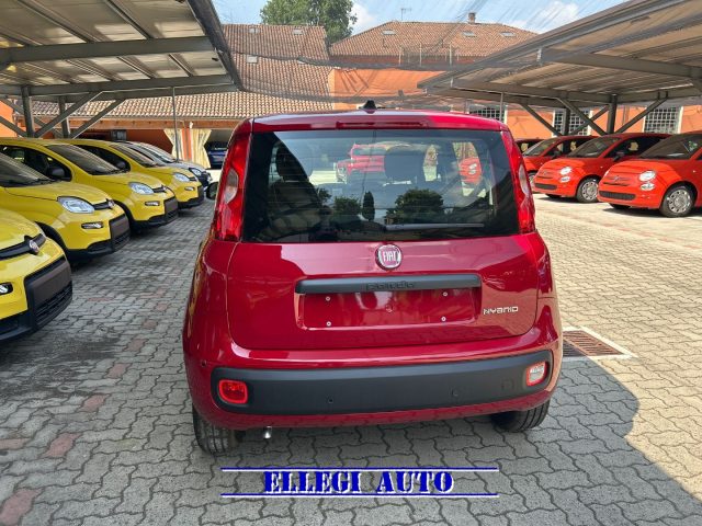 FIAT Panda usata, con Alzacristalli elettrici