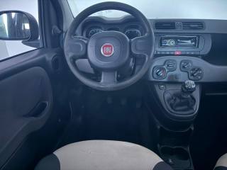 FIAT Panda usata 2