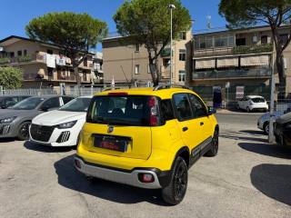 FIAT Panda Cross usata, con Antifurto