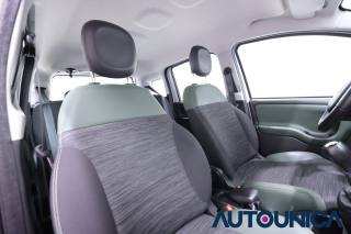 FIAT Panda usata 39