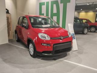 FIAT Panda 1.0 FireFly S&S Hybrid Pandina