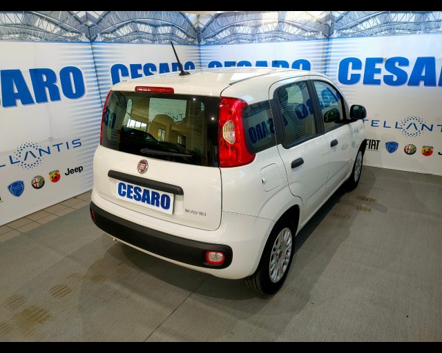FIAT New Panda usata, con Airbag Passeggero