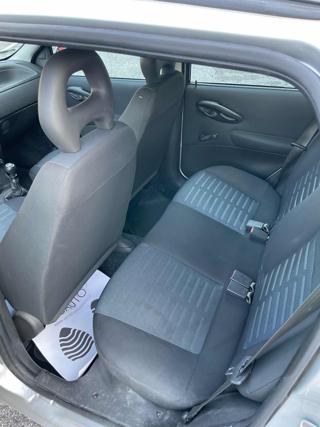 FIAT Punto usata, con Servosterzo