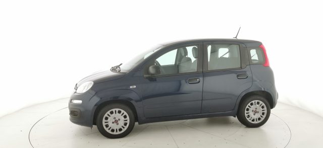 FIAT Panda usata, con Airbag Passeggero