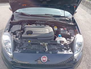 FIAT Punto usata 26