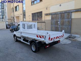 FORD Transit usata, con Fendinebbia