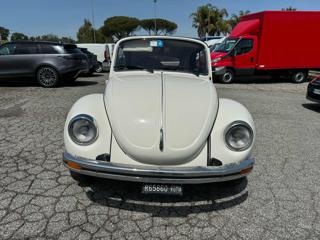 VOLKSWAGEN Maggiolone usata 2