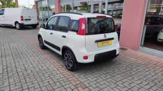 FIAT New Panda usata, con Airbag Passeggero