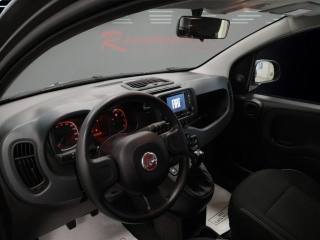 FIAT Panda usata 12