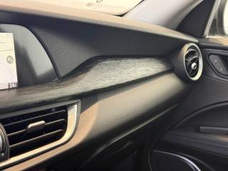 ALFA ROMEO Stelvio usata 34